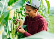 5 Alasan Mengapa Jurusan Agribisnis Bisa Jadi Pilihan Karir Terbaikmu!