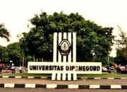 5 Jurusan Sepi Peminat di UNDIP, Apakah Salah Satunya Jurusanmu?