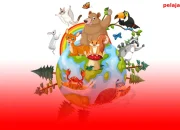 Inilah 8 Ciri-Ciri Makhluk Hidup Beserta Contohnya