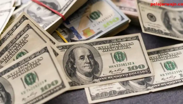 Cara Dapat Dollar Gratis dari Luar Negeri: Panduan Lengkap untuk Pemula