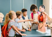 Inilah 5 Gambar Organ Tubuh Manusia dan Fungsinya