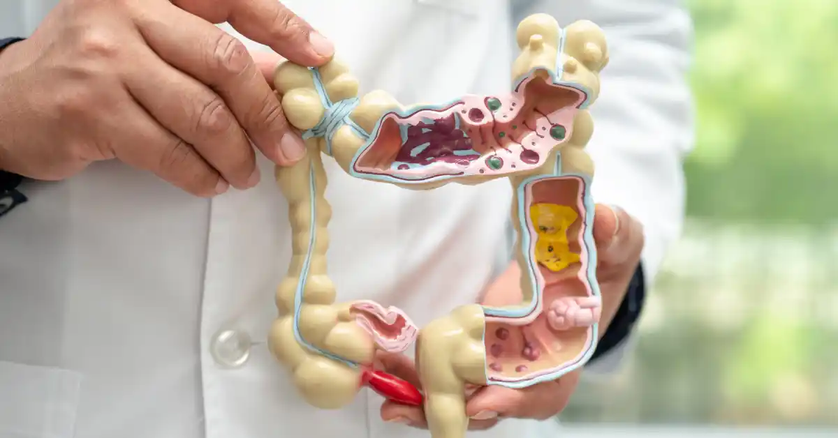 Gambar Organ Tubuh Manusia dan Fungsinya (3)