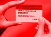 Cara Membuat NPWP Online 2025 Lewat HP