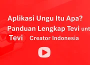 Aplikasi Ungu Tevi: Panduan Lengkap untuk Creator Indonesia